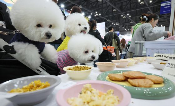 간식에 군침 도는 강아지들
