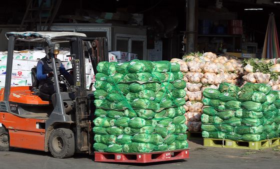 본격 김장철, 무·배추 총출동