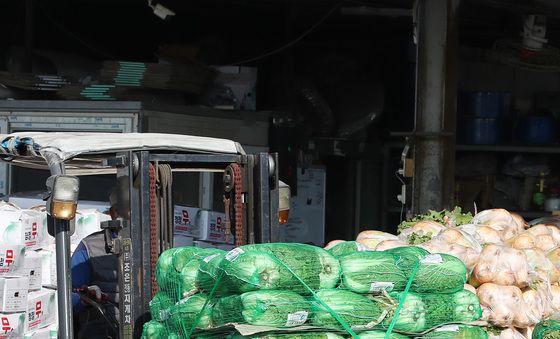 본격 김장철, 무·배추 총출동