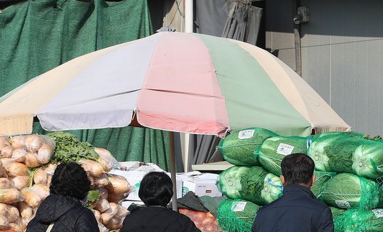 김장 재료 골라볼까?