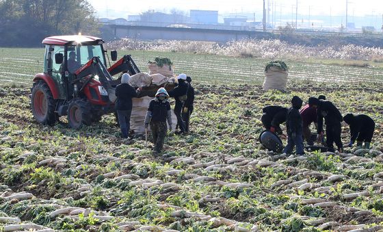 비소식 앞두고 바빠진 손길