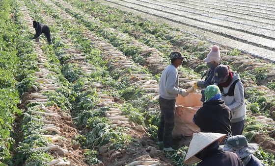 비소식 앞두고 바빠진 손길