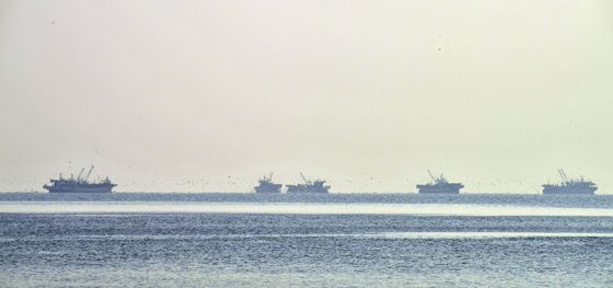 멸치잡이에 나선 어선들