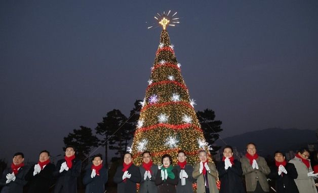 대전 동구 성탄트리 전등