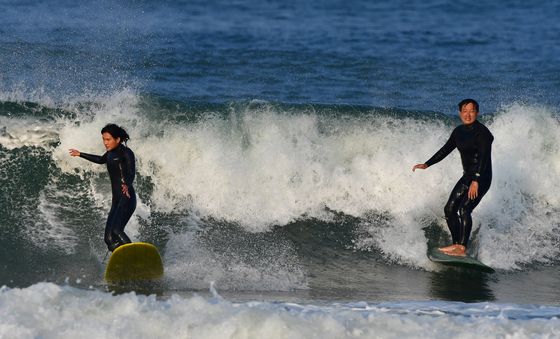 파도타기 좋은 날