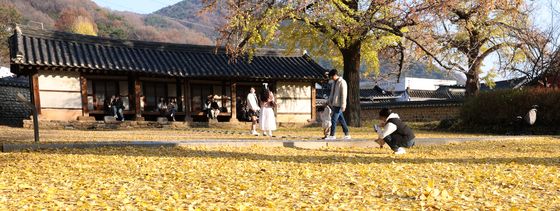 가을의 끝자락을 거닐다