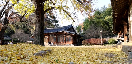 늦가을 정취 가득한 전주향교