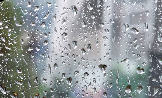 비 내린 창밖