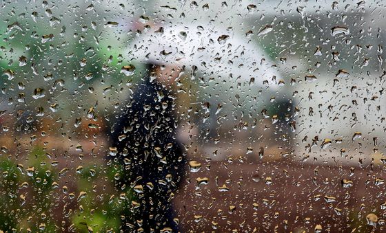 겨울 재촉하는 비