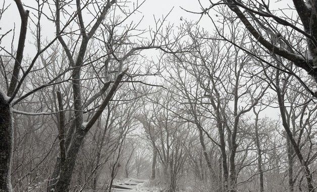 눈 세상으로 변한 덕유산