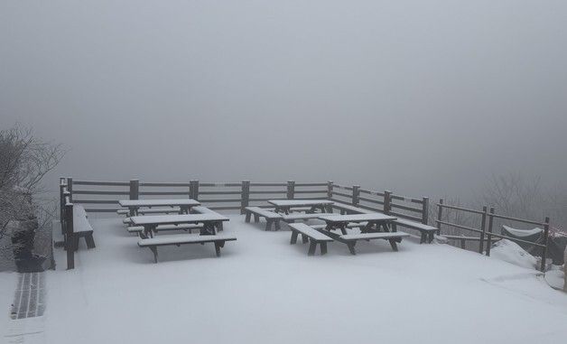 하얗게 쌓인 눈