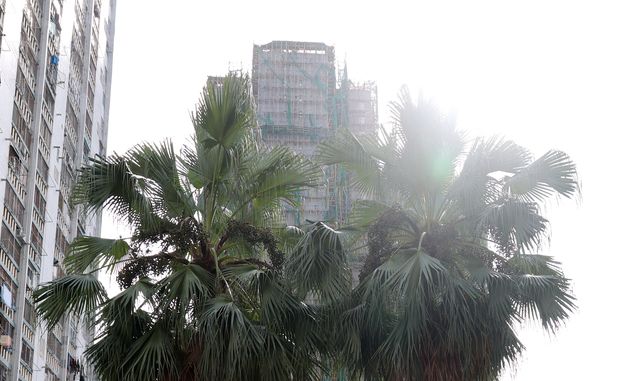 홍콩 참사 희생자들을 위해 놓인 꽃