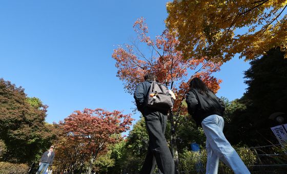 가을 하늘과 단풍