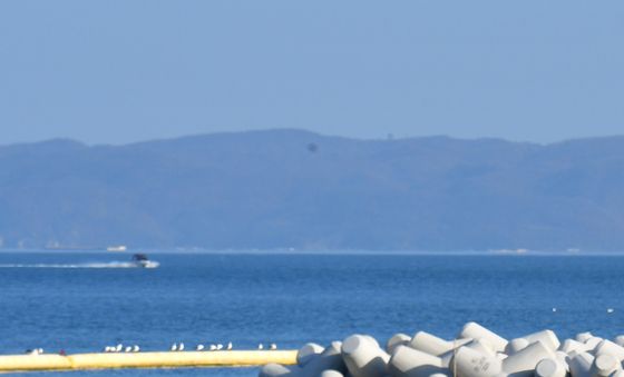 초 여름같은 오후