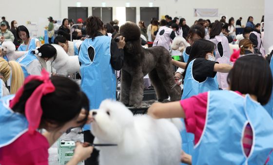 반려동물 미용 경연 펼치는 참가자들