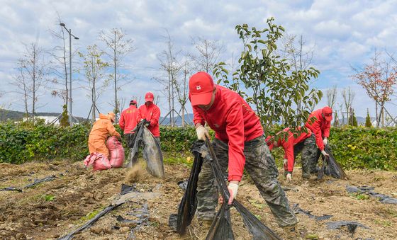 농촌 일손 돕기에 나선 해병대