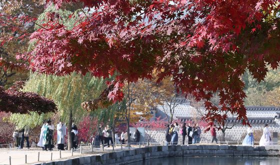 단풍 즐기는 시민들