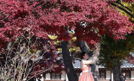 붉게 물든 경복궁에서