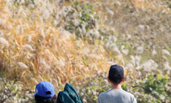 반팔 찾는 입동