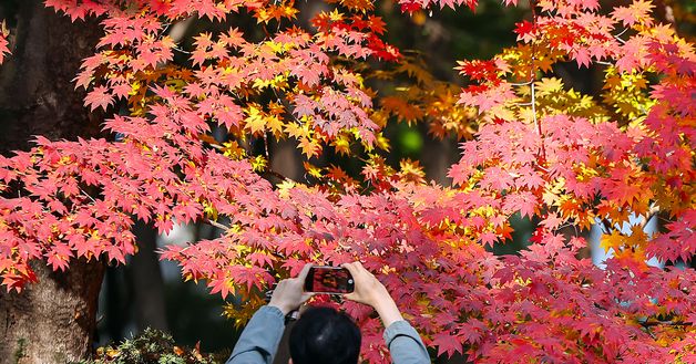단풍과 함께 만드는 추억