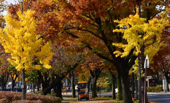 가을 추억 속으로