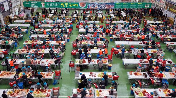 '평창고랭지 배추로 김치를'