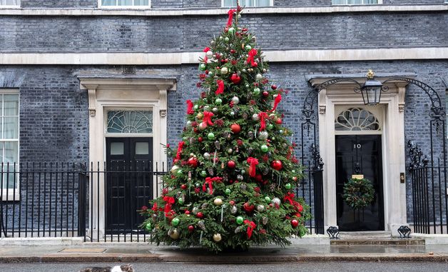 [포토] 영국 런던 총리 관저 앞 크리스마스 트리