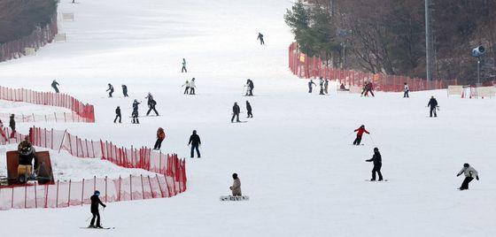 스키장 찾은 스키어