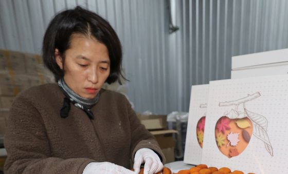 논산 양촌곶감축제 준비로 분주한 곶감농가