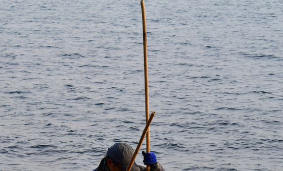 따게비 잡는 날