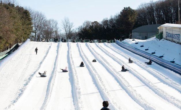 에버랜드, 눈썰매장 '스노우 버스터' 12일 오픈