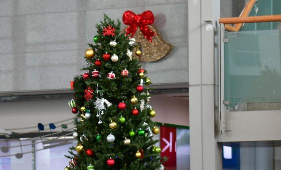 성탄절 기다리는 마음