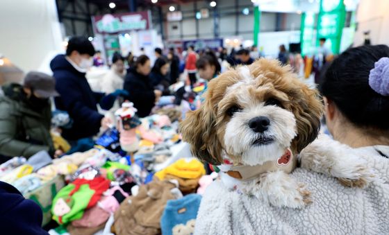 '내 옷 사러 왔어요'