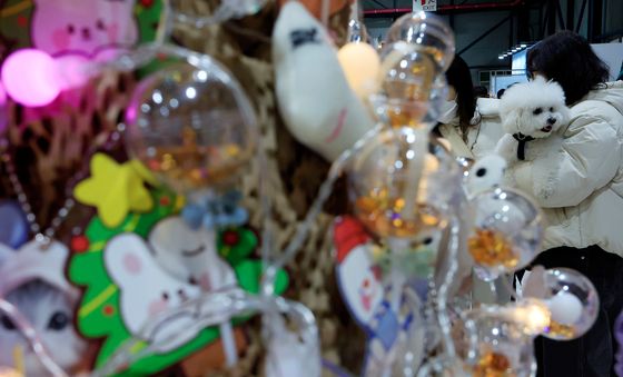 신나는 크리스마스 펫쇼