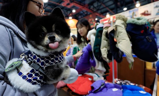 '겨울옷 좀 볼게요'