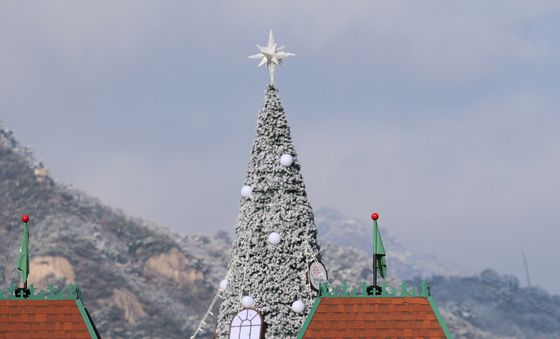 광화문광장의 성탄트리