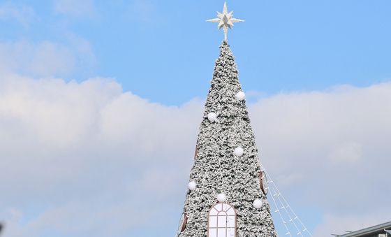 성탄트리 꾸며진 광화문광장