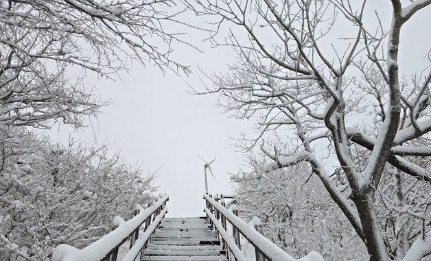 눈 덮인 덕유산