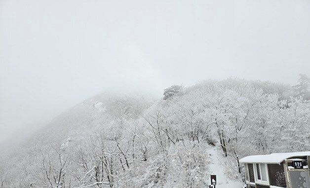 눈 덮인 덕유산 '설경 속으로'