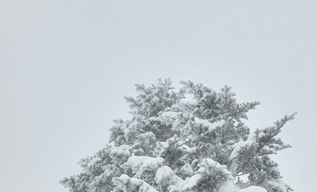 눈 쌓인 덕유산 향적봉