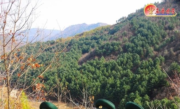 노동신문 ,화평군산림경영소 조명…'산림사업' 중요성 선전