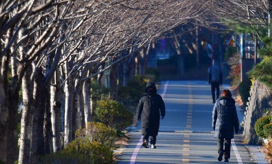 동장군 찾아온 철길 숲