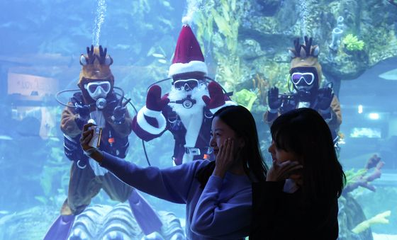 아쿠아리움에서 만나는 산타할아버지