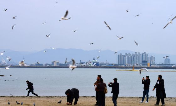 '갈매기와 함께'