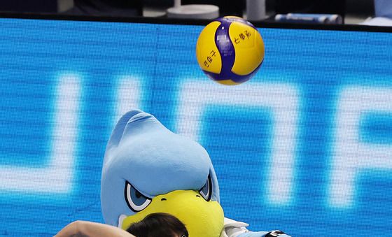 시투하는 SSG 조병현