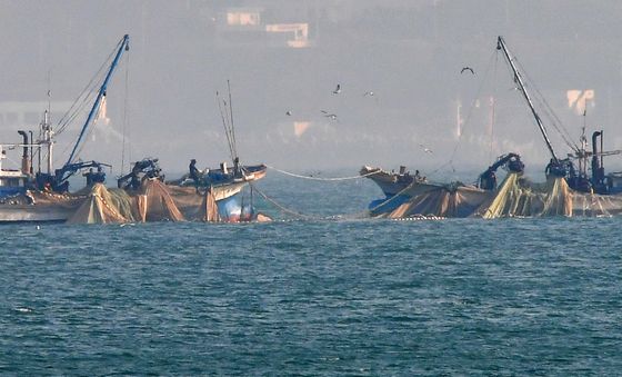 만선을 기원하며