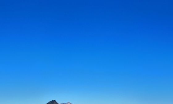 청와대, 열린 경호로 시민 불편 최소화