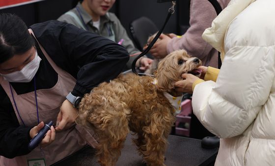 이쁘게 잘라주세요