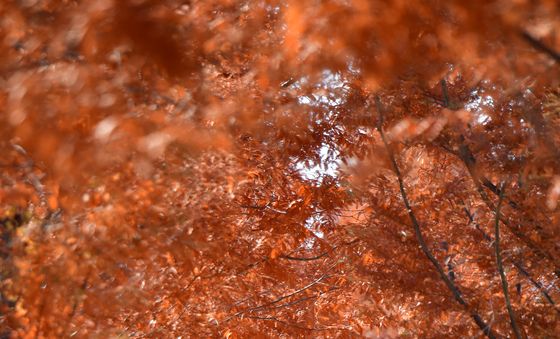 겨울로 가는 길목