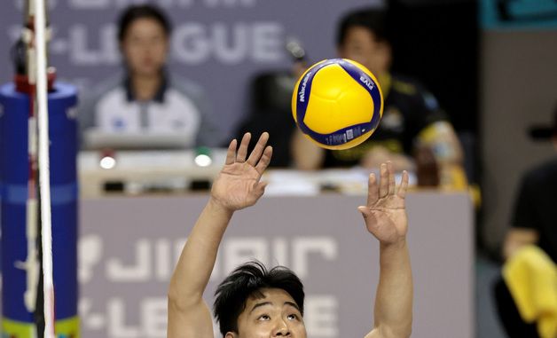 토스하는 하승우